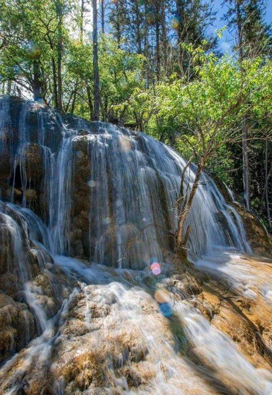 2024春节山东乡村文化旅游节丨“硬核”新农人的南果北种好“丰”景